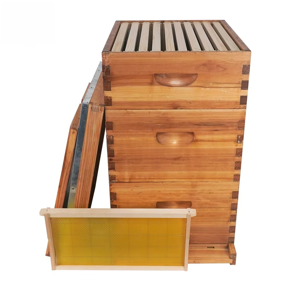 Complete 3-layer wax-soaked be - Beehive Frame Wax 评论和价格