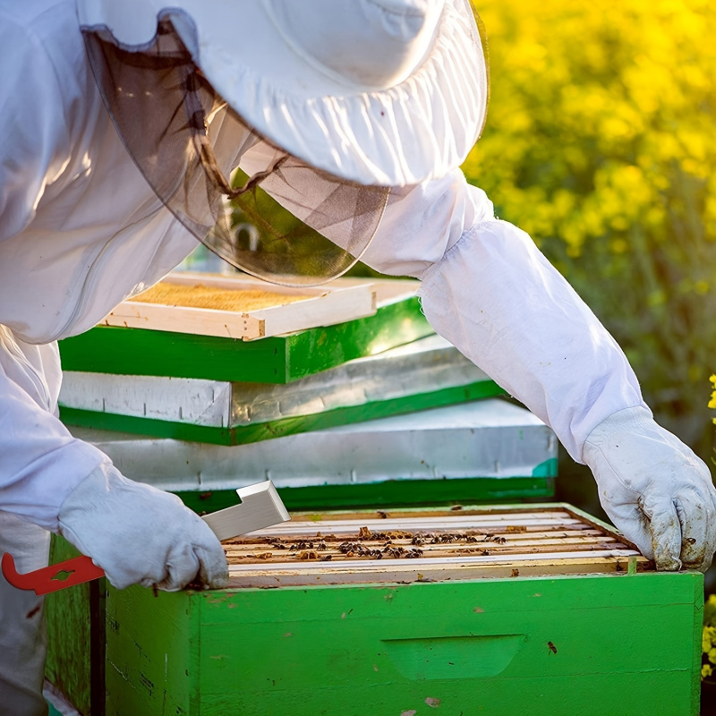 Bee Frame Scraper Multifunctio - Beehive Frame Wax 评论和价格