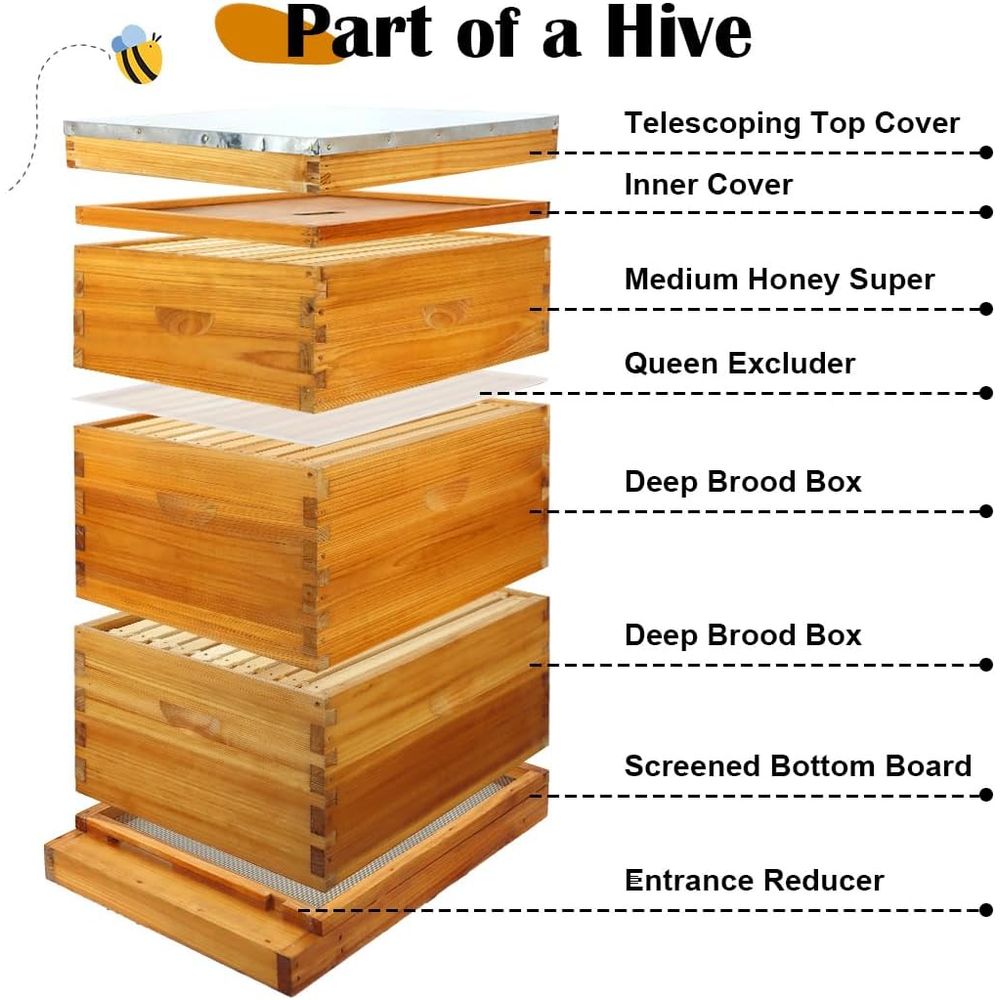 10-Frame Beehive Kit with Waxe - Beehive Frame Wax 评论和价格